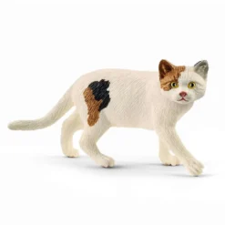 Amerikansk Shorthair Kat