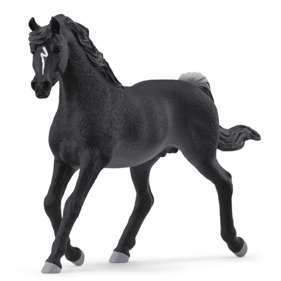 Araberhingst