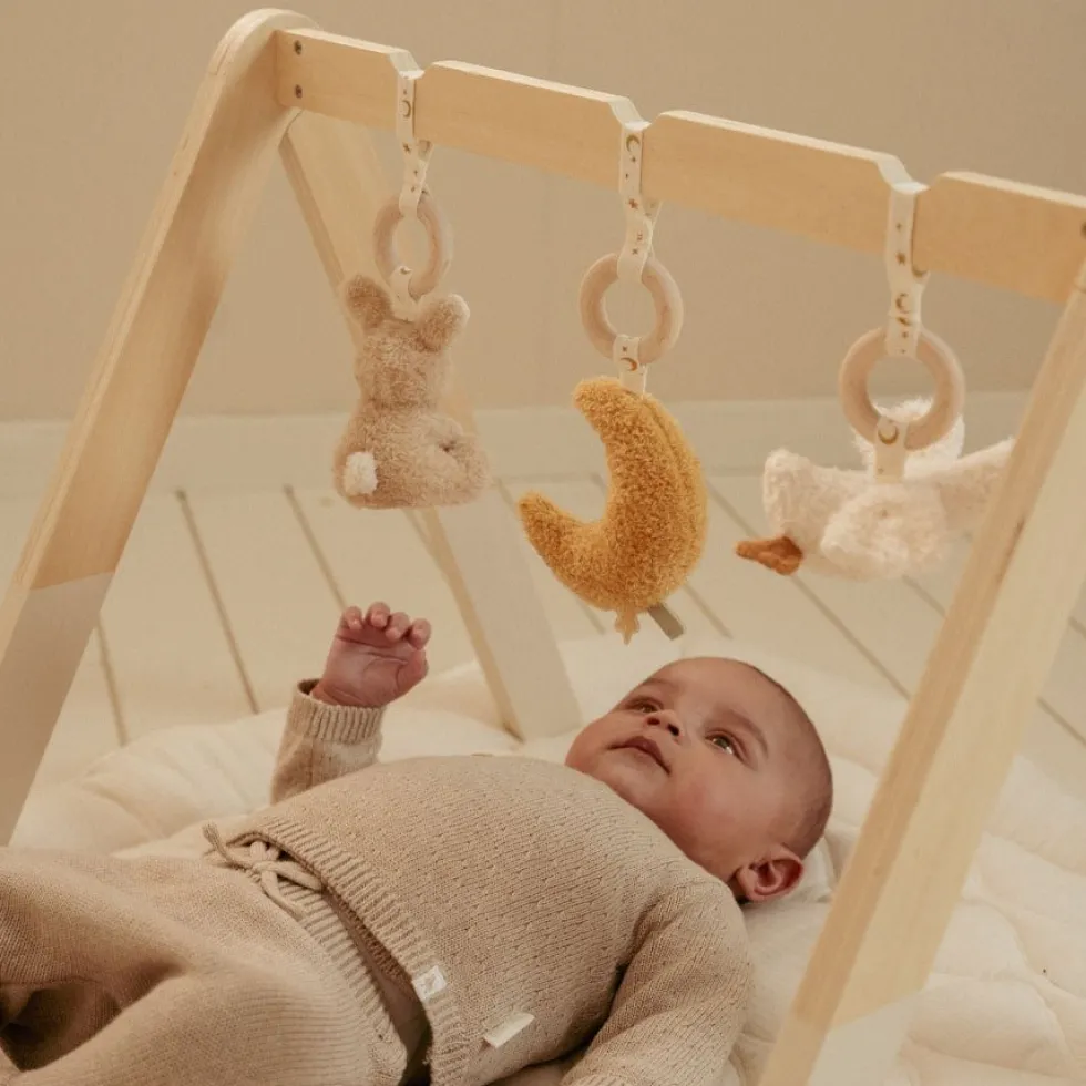 Babygym Newborn