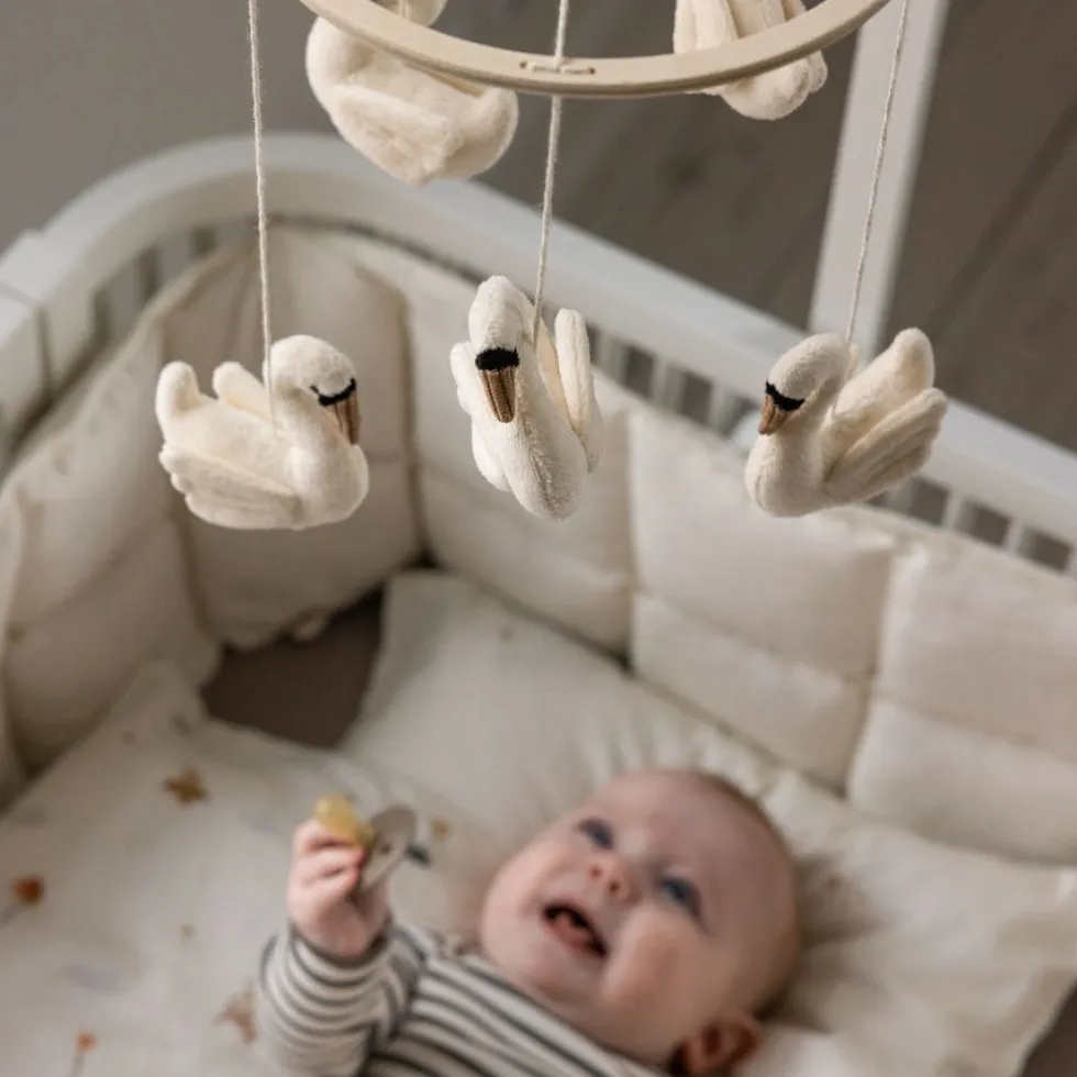 Baby Uro Svane