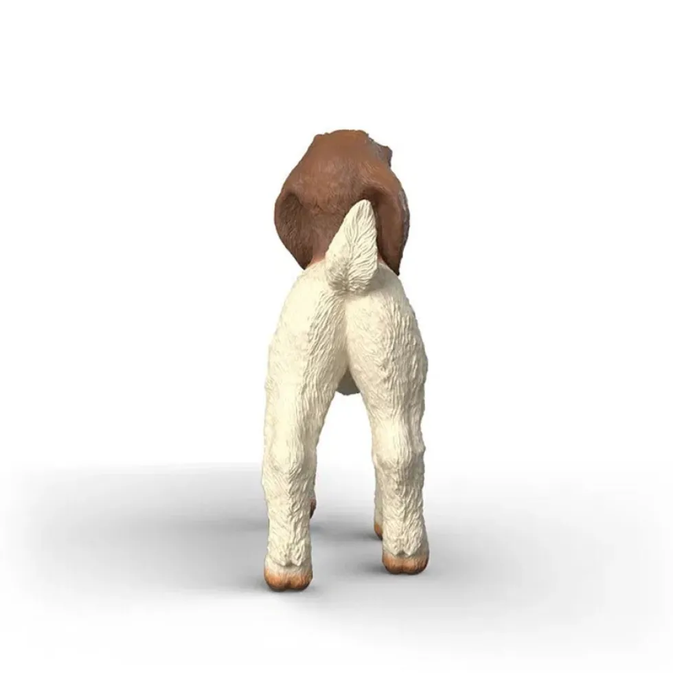 Boer Gedekid