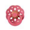 Boheme Coral (str 2)