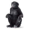 Bonobo Hun