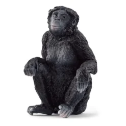 Bonobo Hun