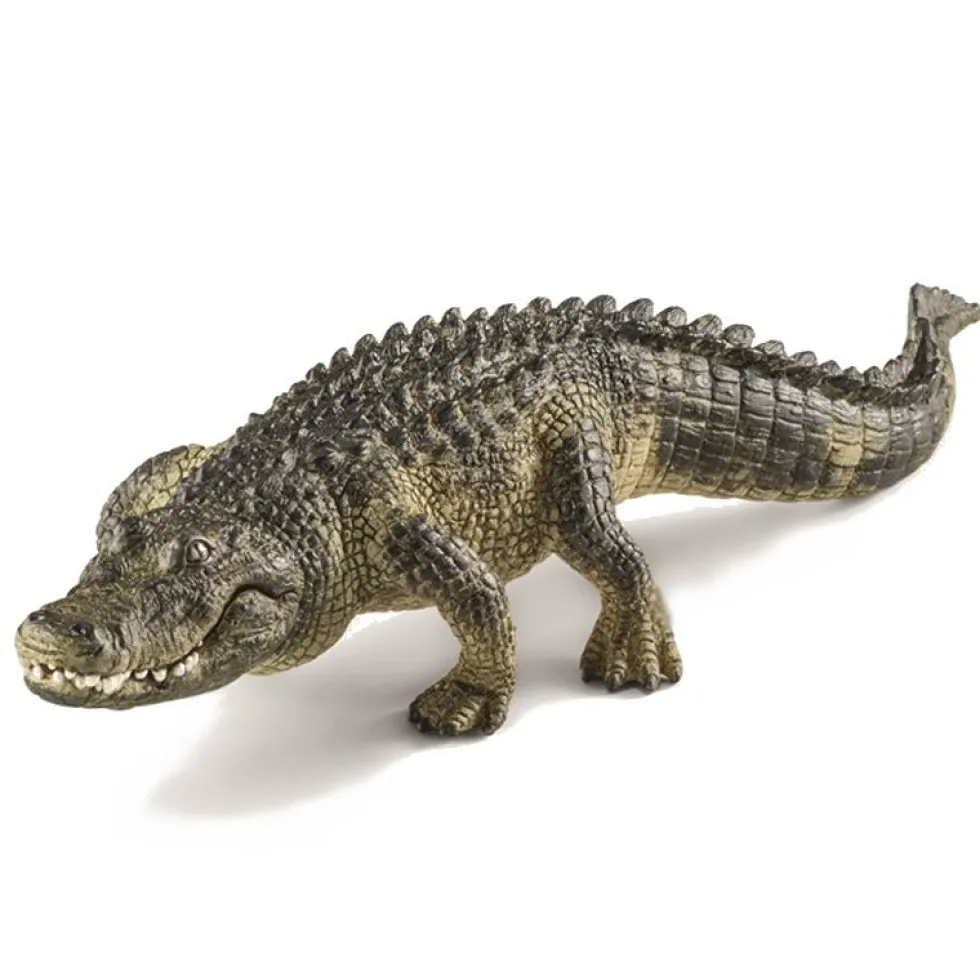 Dyr Alligator