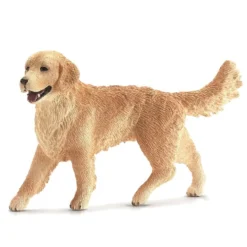 Dyr Golden Retriever
