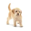 Dyr Golden Retriever Hvalp