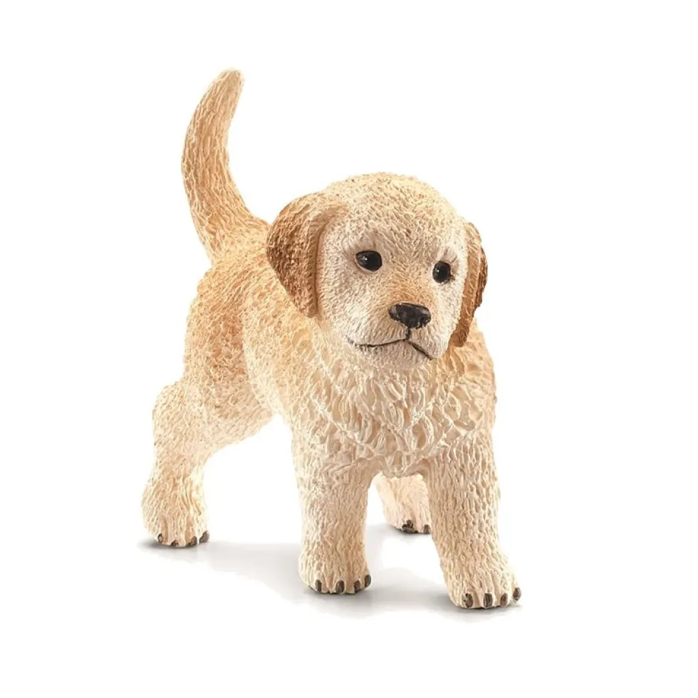 Dyr Golden Retriever Hvalp