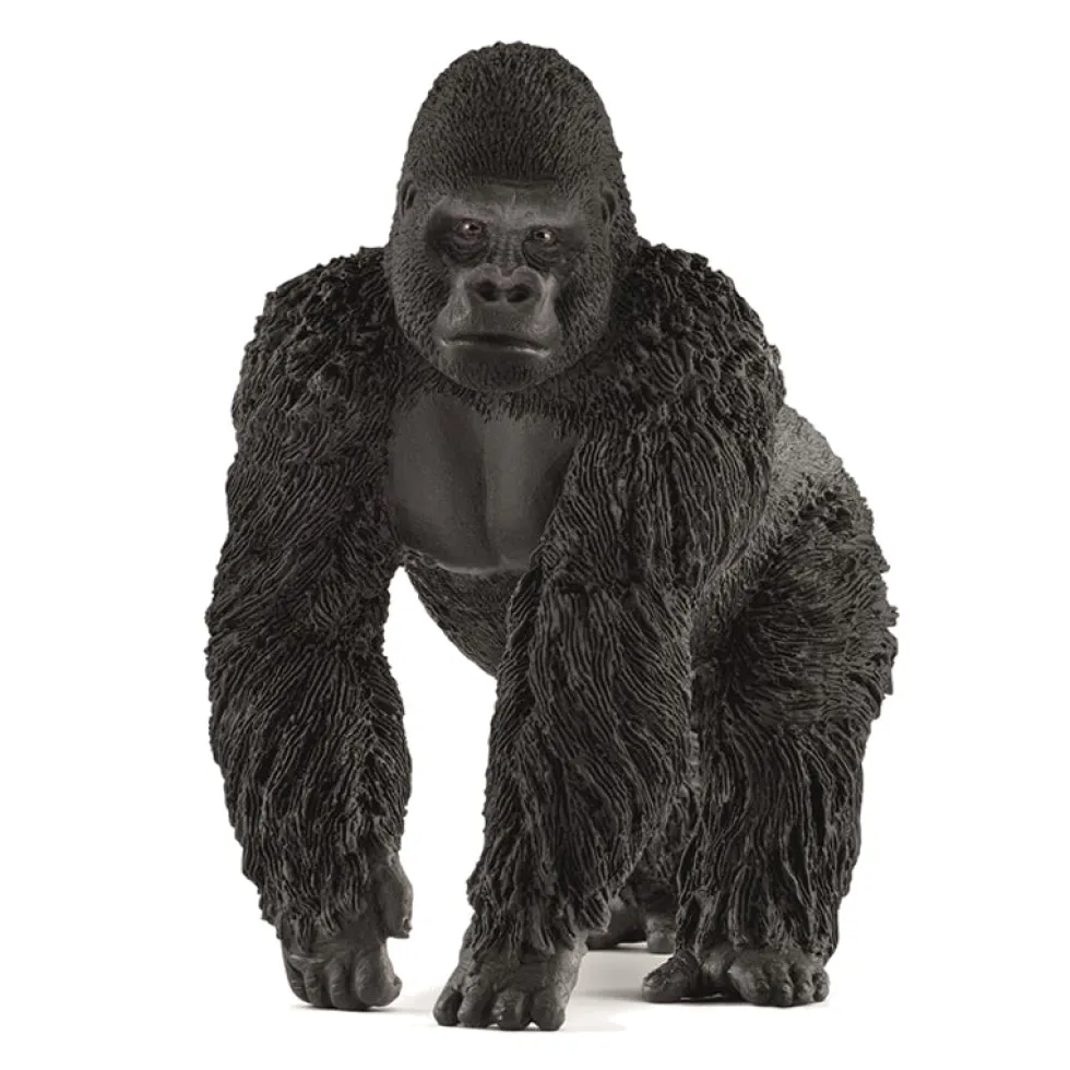 Dyr Gorilla Han