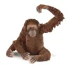 Dyr Orangutang