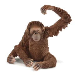 Dyr Orangutang