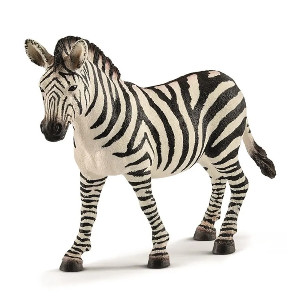Dyr Zebra Hun