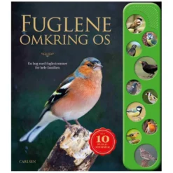 Fuglene Omkring Os