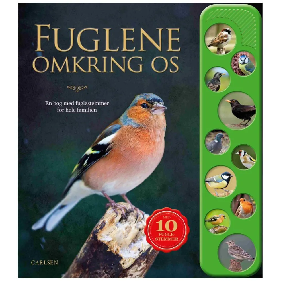 Fuglene Omkring Os