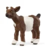 Gedekid