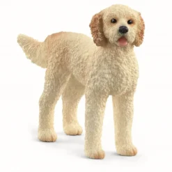 Goldendoodle