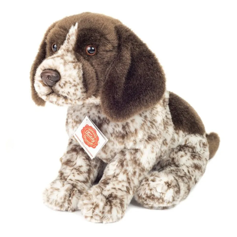 Hønsehund (30 cm)