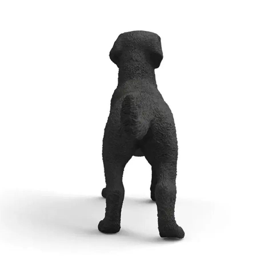 Hun Labrador Retriever i Sort