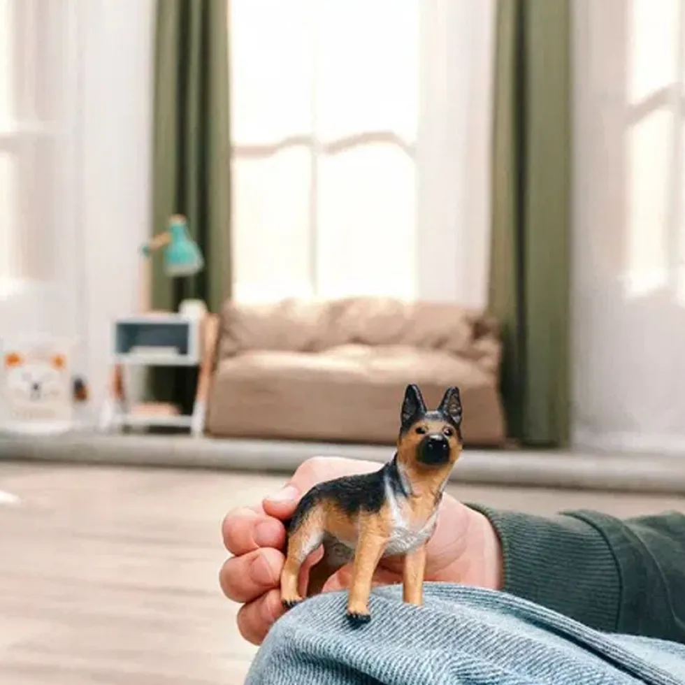 Hun Schæferhund