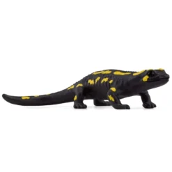 Ildsalamander