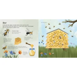 Jeg ser på ... små insekter