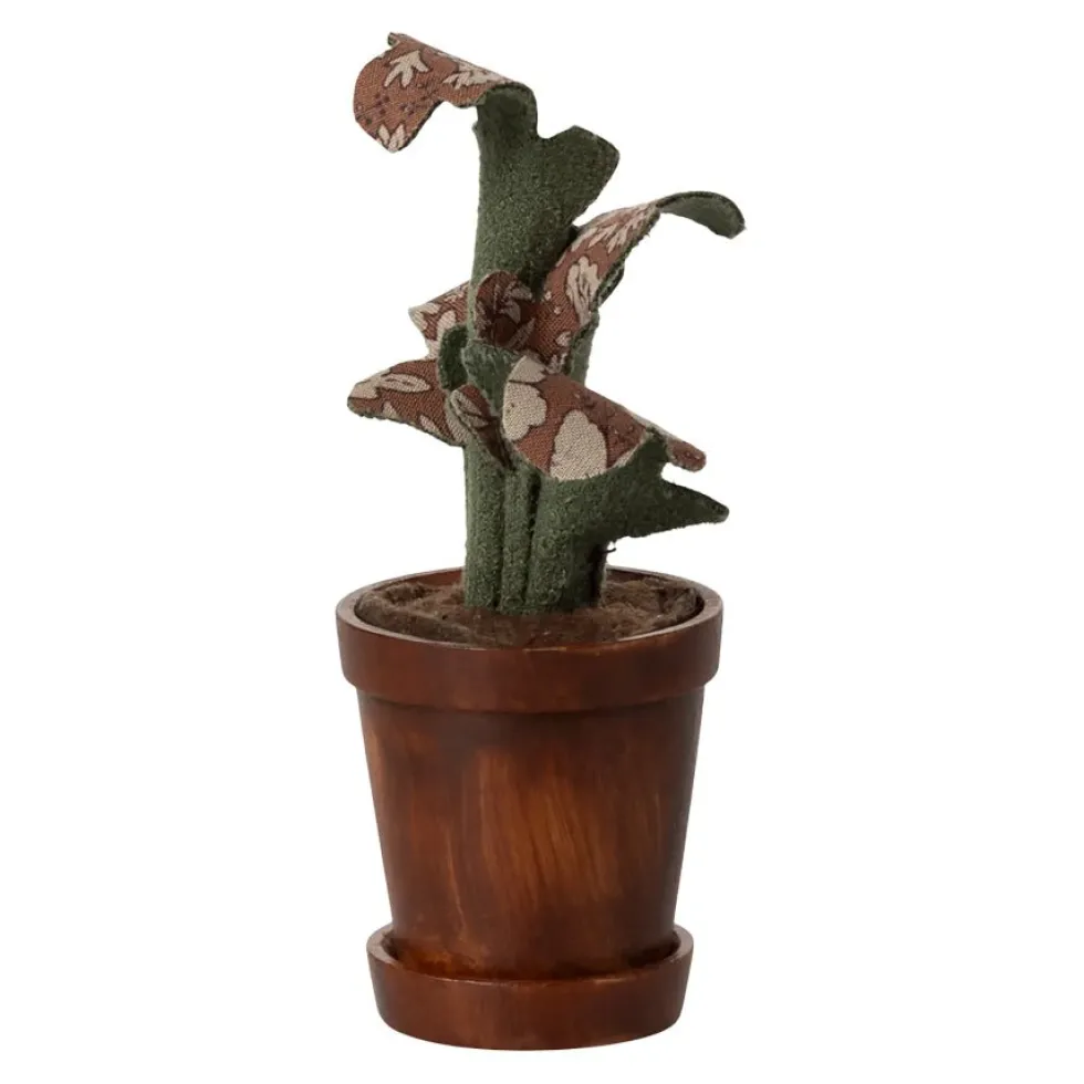 Krukke Med Plante