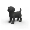 Labrador Retriever Hvalp i Sort