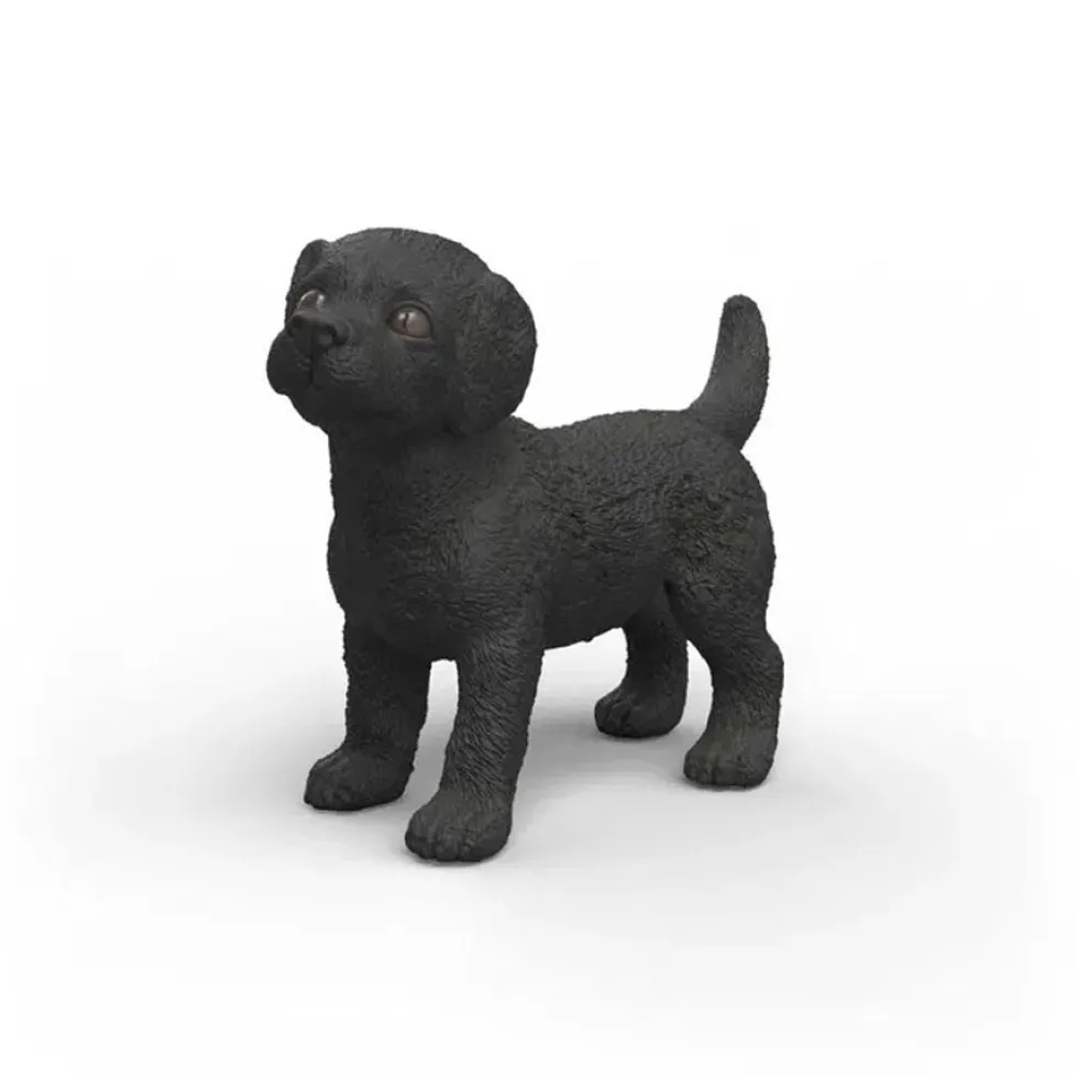 Labrador Retriever Hvalp i Sort