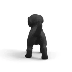 Labrador Retriever Hvalp i Sort