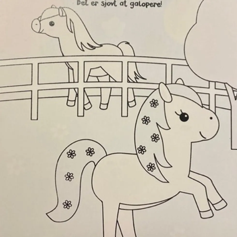 Magisk Malebog: Ponyer