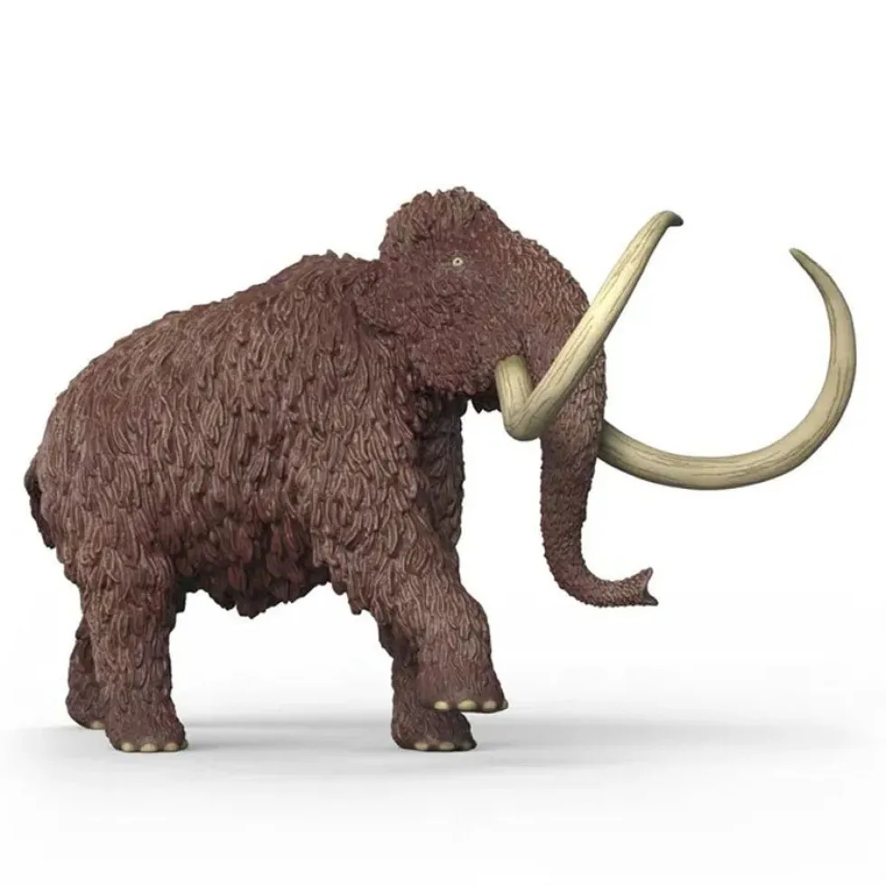 Mammut