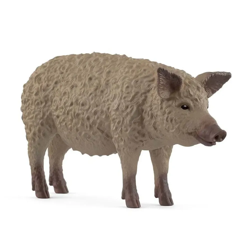 Mangalitza Gris