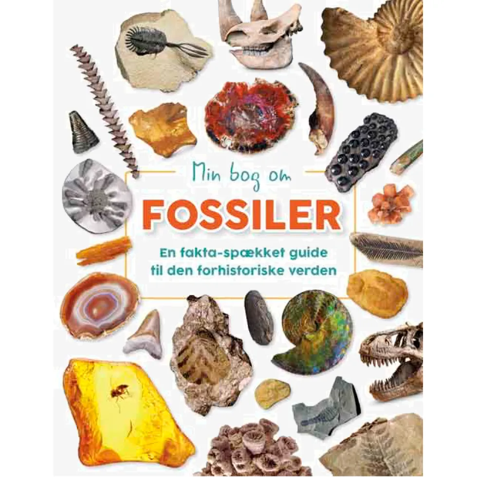 Min bog om fossiler