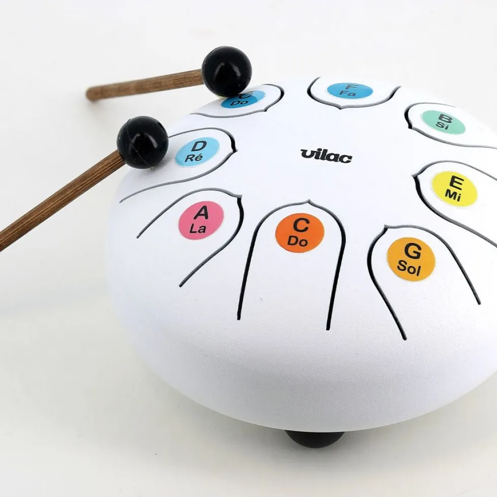 Musikinstrument Tungetromme