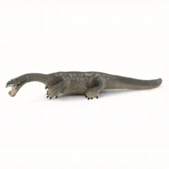Nothosaurus