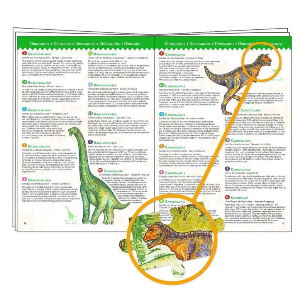 Observationspuslespil med Dinosaurer (100 brikker)