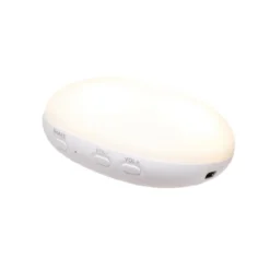 2.0 Organic Humming Bjørn Med Lampe Polar
