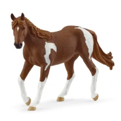 Paint Horse Hoppe