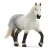 Percheron Hoppe