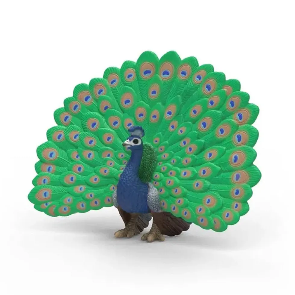 Påfugl