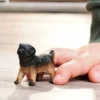 Schæferhund Hvalp