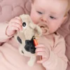 Sensorisk Rangle Dottie