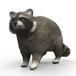 Vaskebjørn