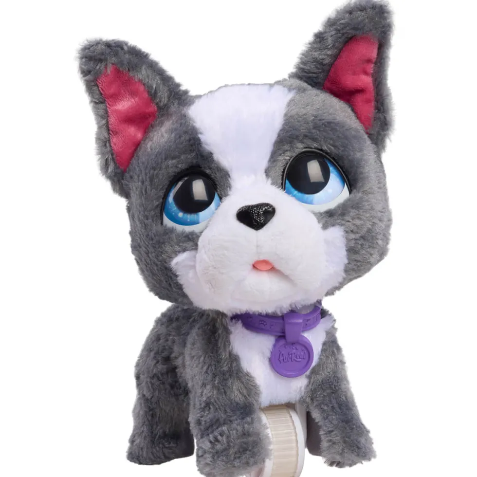 Walk-A-Lots Fransk Bulldog