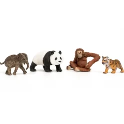 Wild Life "Asia" Starter Sæt