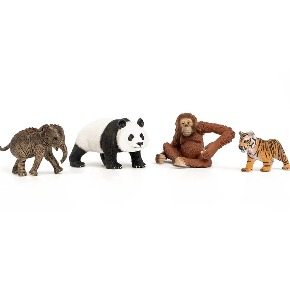 Wild Life "Asia" Starter Sæt